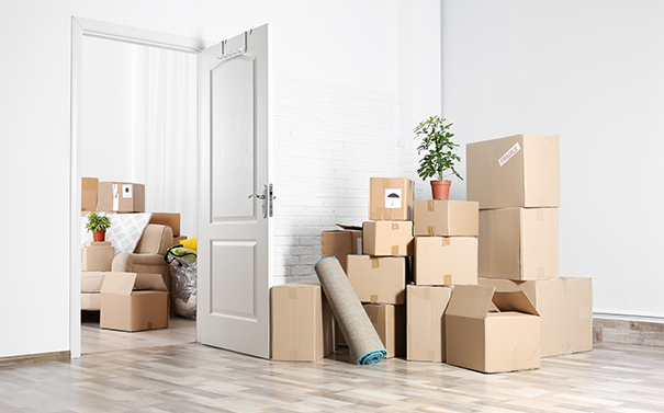 出張整理・仕分け